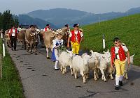  28. September 2013 - auf dem St. Anton mussten wir auf diesen Vorbeizug warten